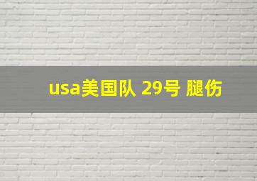 usa美国队 29号 腿伤